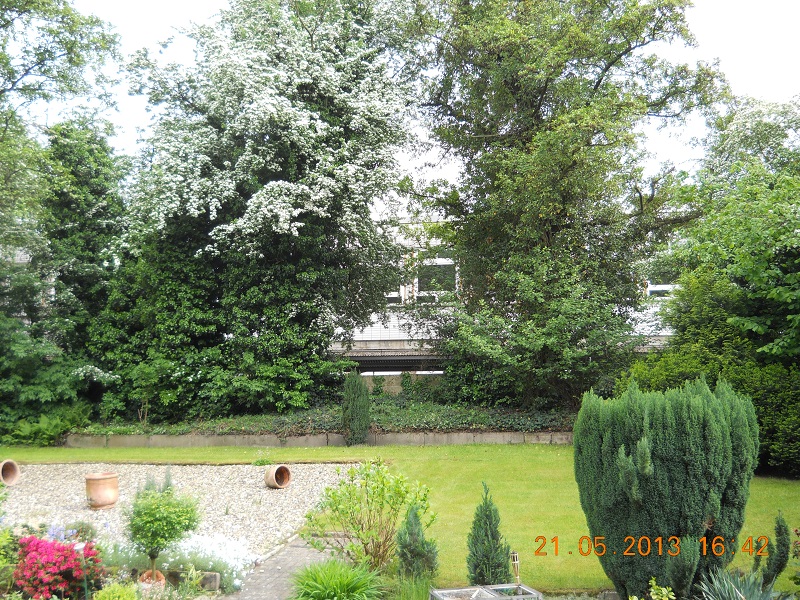 Blick in den Garten Etagenwohnung Bottrop